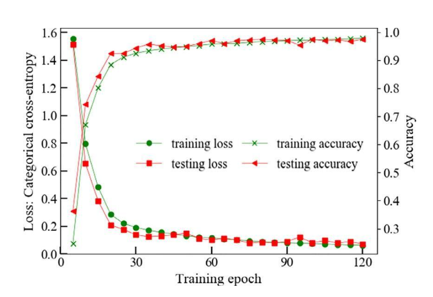 Categorical cross-entropy loss and the classification accuracy of training 